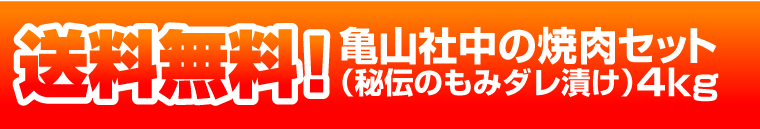 �T�R�В��@�ʐ^1