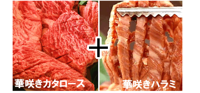 �T�R�В��@�ʐ^4