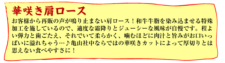 �T�R�В��@�ʐ^5