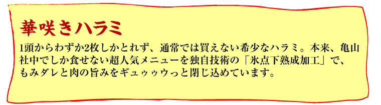 �T�R�В��@�ʐ^6