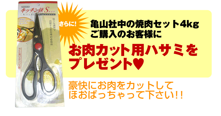 �T�R�В��@�ʐ^11